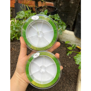 Cước Câu Cá Tàng Hình Nylon Speckle Dây Câu Cá 15  0m Siêu Bền