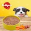 PEDIGREE Thức ăn cho chó con dạng sốt 80g và 130g