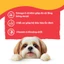 PEDIGREE Thức ăn cho chó dạng sốt - 130g