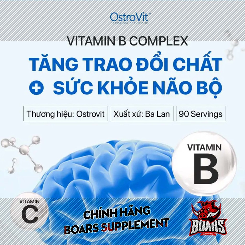 OSTROVIT VITAMIN B6 COMPLEX - BỔ SUNG VITAMIN NHÓM B, TỔNG HỢP PROTEIN GIÚP TĂNG CƠ BẮP (90 VIÊN)