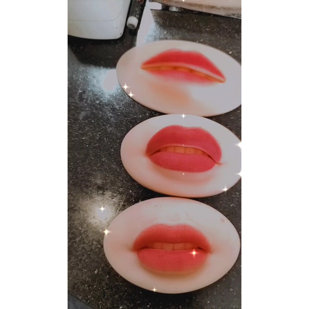 DA  MÀY MÔI CHUYÊN DÙNG TẬP TRONG PHUN XĂM