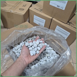 Matrix Pond - Thường - Thùng 20L - Vật Liệu Lọc Tốt Nhất Cho Hồ Cá Cảnh, Thủy Sinh