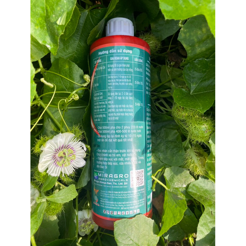 Combi tảo biển Thổ Nhĩ Kì 500ml