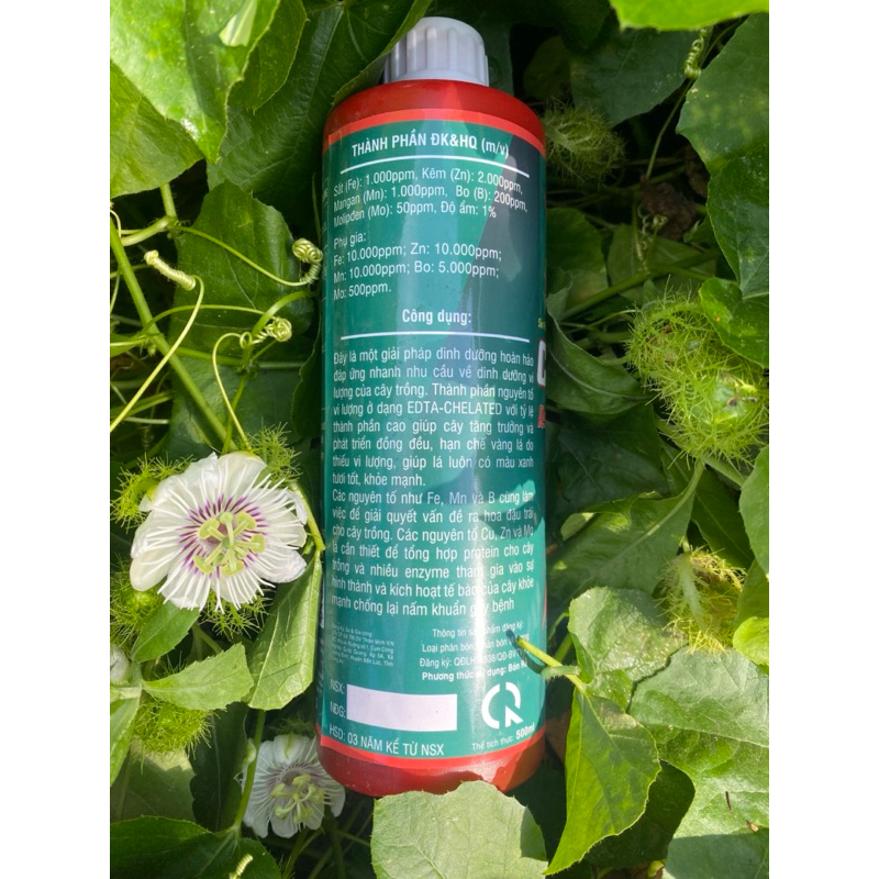 Combi tảo biển Thổ Nhĩ Kì 500ml