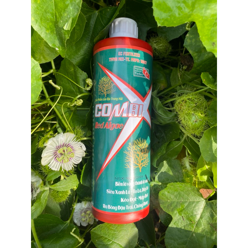 Combi tảo biển Thổ Nhĩ Kì 500ml