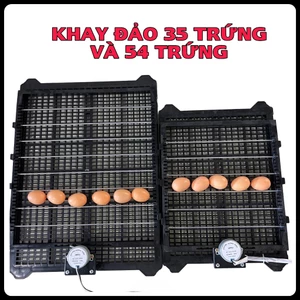 Khay Đảo Trứng Gà Tự Động 54 Trứng Và Bộ Hẹn Giờ Đảo Chất Lượng Tùy Chỉnh Thời Gian Đảo