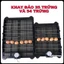 Khay Đảo Trứng Gà Tự Động 54 Trứng Và Bộ Hẹn Giờ Đảo Chất Lượng Tùy Chỉnh Thời Gian Đảo