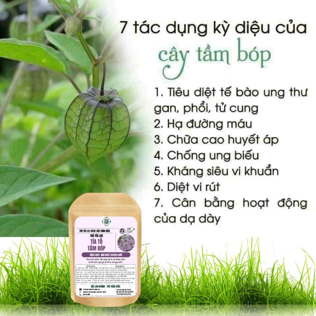 Trà tía tô tầm bóp - BỘI LAN ĐƯỜNG - hạ acid uric, giảm đau nhức xương khớp, giảm cân - túi 50 lọc