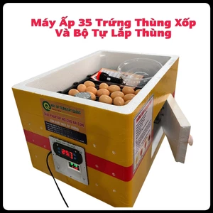 Máy ấp trứng 35 trứng thùng xốp và bộ combo tự lắp thùng xốp đảo trứng tự động