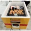 Máy Ấp Trứng Thùng Xốp 35 Trứng Đảo Tự Động Tạo Nhiệt Dây Cacbon Bền Và Tiết Kiệm Điện