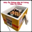 Máy Ấp Trứng Thùng Xốp 35 Trứng Đảo Tự Động Tạo Nhiệt Dây Cacbon Bền Và Tiết Kiệm Điện