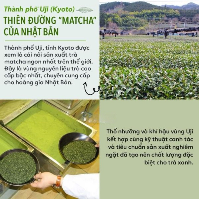 (MATCHA 500g) BỘT TRÀ XANH MATCHA UJI YANOEN 500G