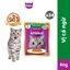 Thức Ăn Dạng Sốt Cho Mèo Trưởng Thành WHISKAS Mix 8 Vị - 80g (24 Túi)