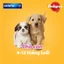 Bánh xương cho chó con Pedigree Dentastix 56g