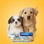 Bánh xương cho chó con Pedigree Dentastix 56g