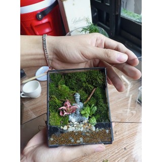 Terrarium " Góc Phật Ngộ " thích hợp làm quà tăng cho người thân tặng kèm đèn đế gỗ