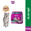 Thức ăn mèo Whiskas túi 480g
