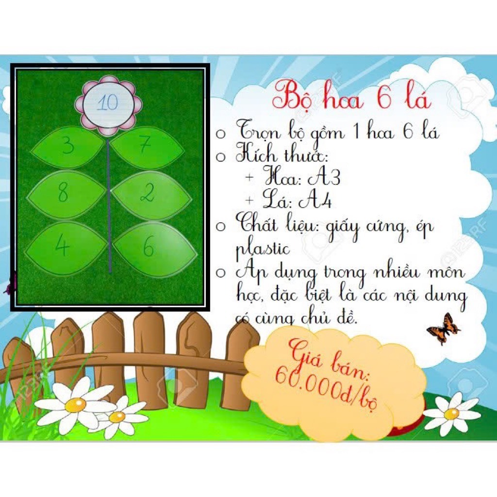 Bộ hoa 6 lá (màu hoa ngẫu nhiên)