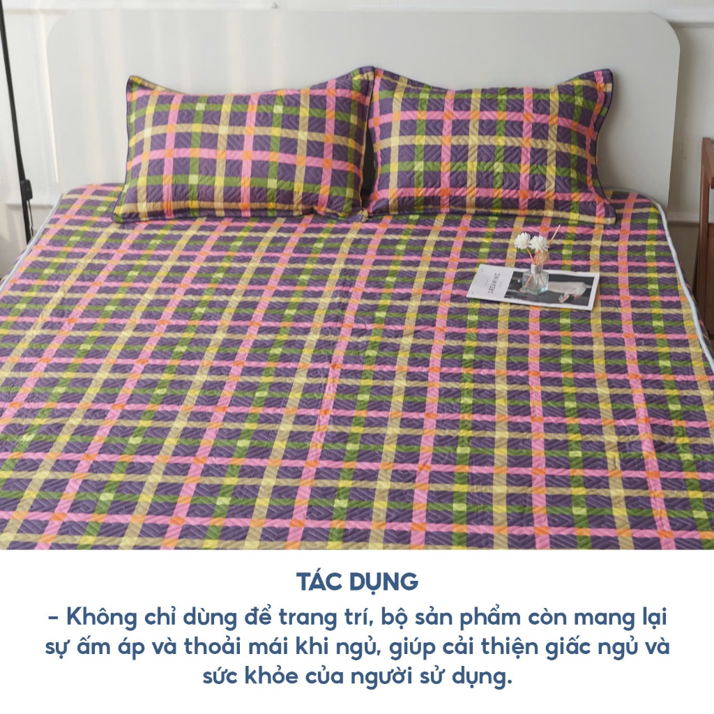 Bộ ga gối 3 món cotton Hàn Quốc trần bông , set 3 món ga gối trần bông bo chun cotton dày dặn mềm mại thoáng khí