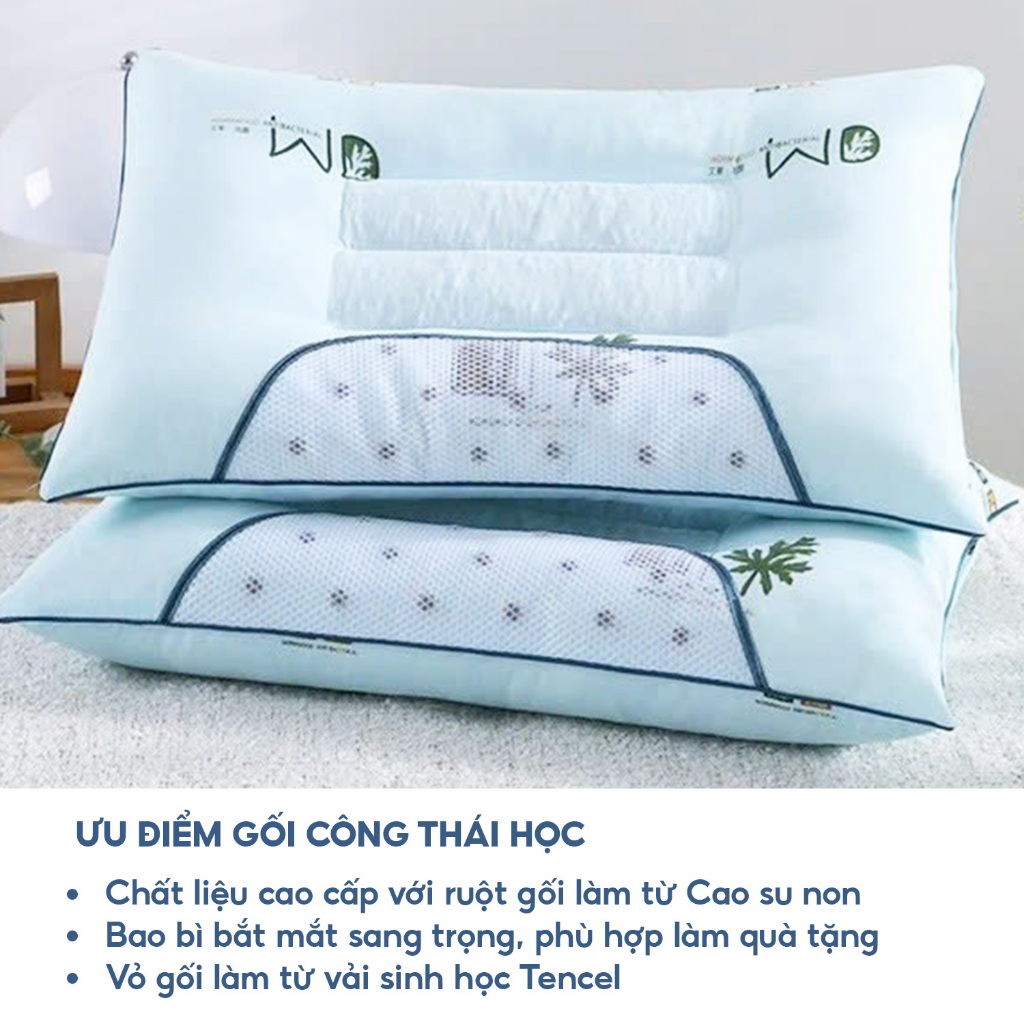 Gối công thái học Trang Dương Bedding - Thiết kế cho mọi tư thế ngủ, chống đau vai gáy, hỗ trợ ngủ nhanh