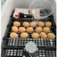Máy Ấp Trứng 35 Trứng Thùng Xốp, Thùng ALu Viền Nhôm Chạy Dây Nhiệt Cacbon Ấp Gà, Vịt, Ngan, Ngỗng