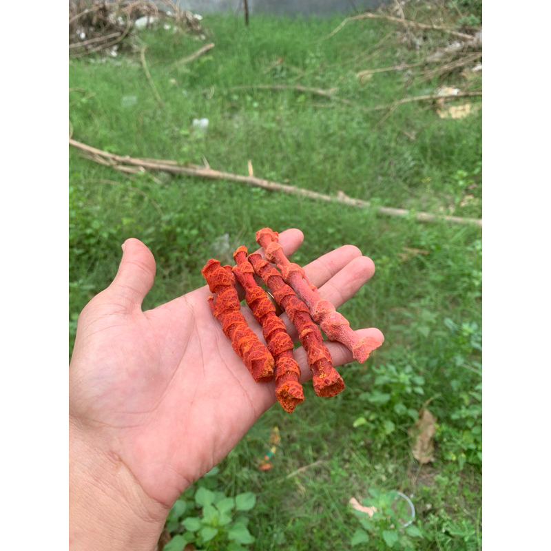 cành thân san hô đỏ 100g