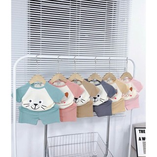 COMBO 3 BỘ CỘC TAY PHỐI TRẮNG IN HÌNH MÈO CHO BÉ TRAI VÀ GÁI 6-18KG BÊN EM GIAO MÀU NGẪU NHIÊN