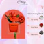 Nước hoa nữ Narciso Rouge EDP (nar đỏ) Hương Thơm Chiết 5ml/10ml Gợi cảm, Sang trọng - Cozy Perfume