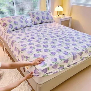 Bộ Ga Gối Trần Bông 3 Món Cotton Đũi Dệt Hữu Cơ Sơ Đậu Lành Mền Mịn Thoáng Mát Đầy Đủ Size