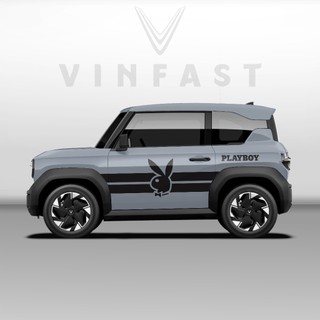 Tem dán xe VF3 - Decal dán xe VF3 MẪU TEM THỂ THAO CÁ TÍNH . 1 bộ dán 2 bên ( mẫu VF3 - 36 )