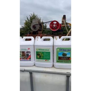 CHẾ PHẨM EM HLC ĐẶC TRỊ TUYẾN TRÙNG CAN 5L - ĐẶC TRỊ VÀNG LÁ THỐI RỄ, PHÒNG TRỪ NẤM KHUẨN, TUYẾN TRÙNG HẠI RỄ CÂY TRỒNG