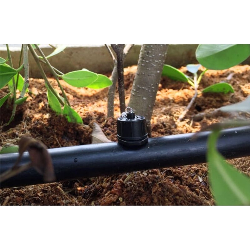 1M Ống Dẫn Nước LDPE 16mm Hàng Nhập Khẩu - Dùng Cho Hệ Thống Tưới Tự Động