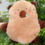 Gối bông Capybara chảy nước mũi , capybara siêu mềm mịn