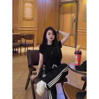Set Bộ Thun Trơn Phối Sọc Áo Body Zip Tôn Dáng Mix Quần Suông Dáng Rộng Kẻ Sọc Viền Freesize