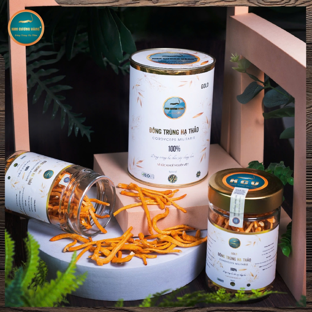 Ảnh Đông Trùng Hạ Thảo Gold Kim Cương Vàng - Hỗ Trợ Giải Độc Gan, Tăng Cường Đề Kháng Hàng Chính Hãng  (10Gr/Hộp) 3