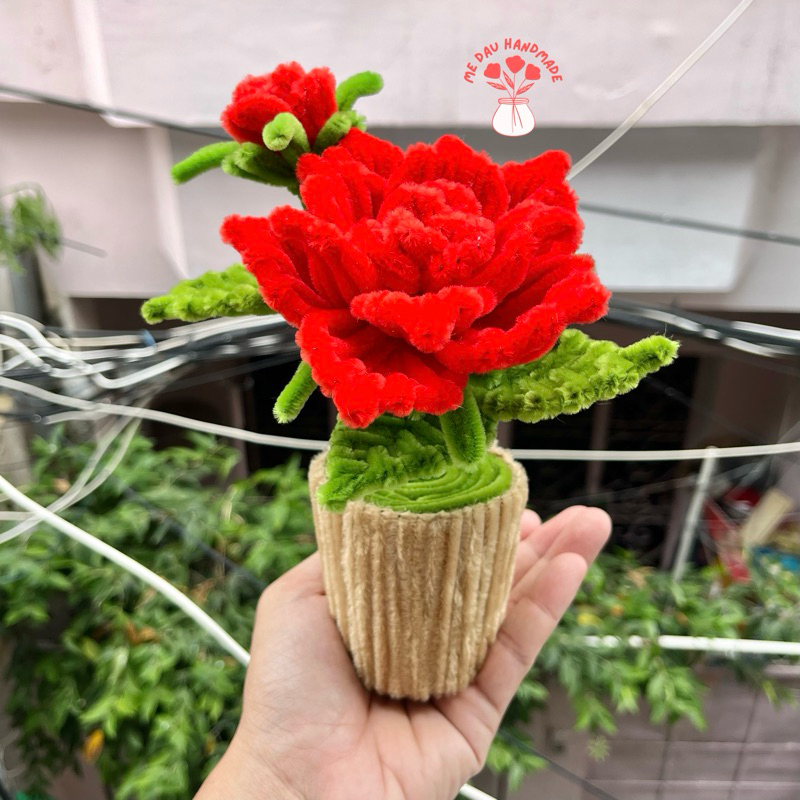 [Thành phẩm] Chậu Hoa Kẽm Nhung mini Thủ công Handmade - Làm Quà tặng - Decor Trang trí nhà cửa, bàn học, bàn làm việc