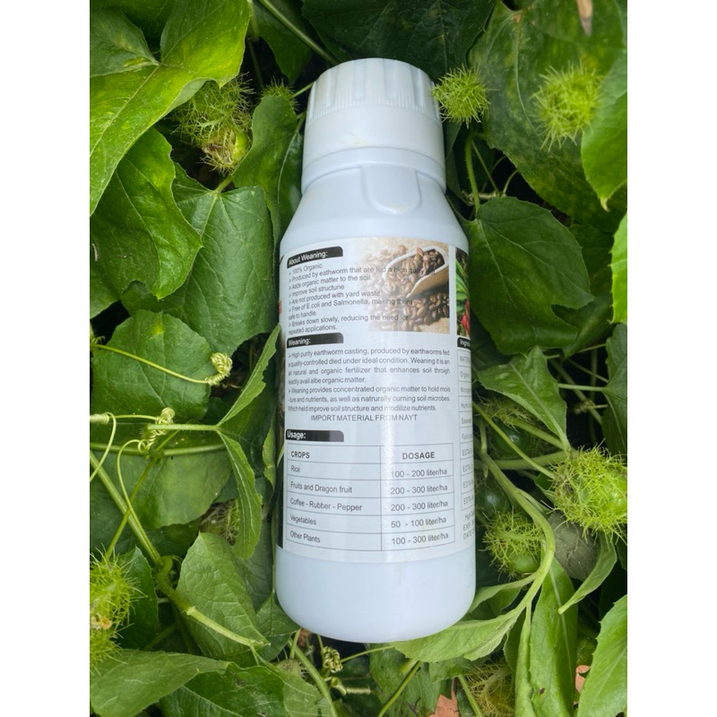 Amino combi tảo biển  500ml
