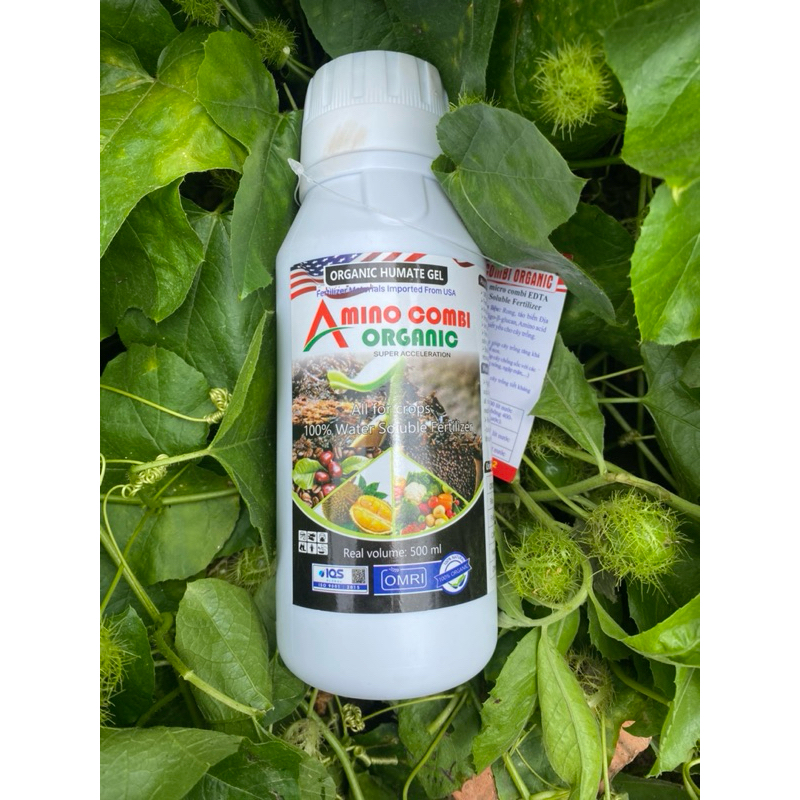 Amino combi tảo biển  500ml