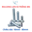 Set 50 Bulong giác ngoài M6 mạ kẽm (Bulong + tán+ long đền phẳng + lông đền vênh)