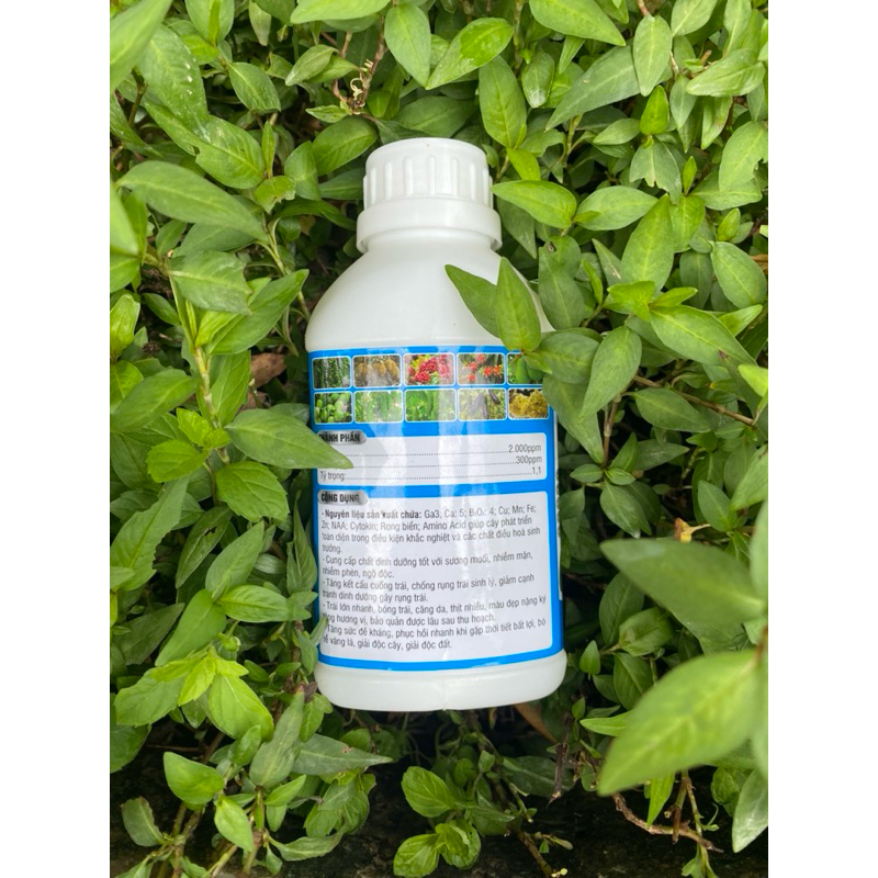 Ga3 sữa + TE 500ml