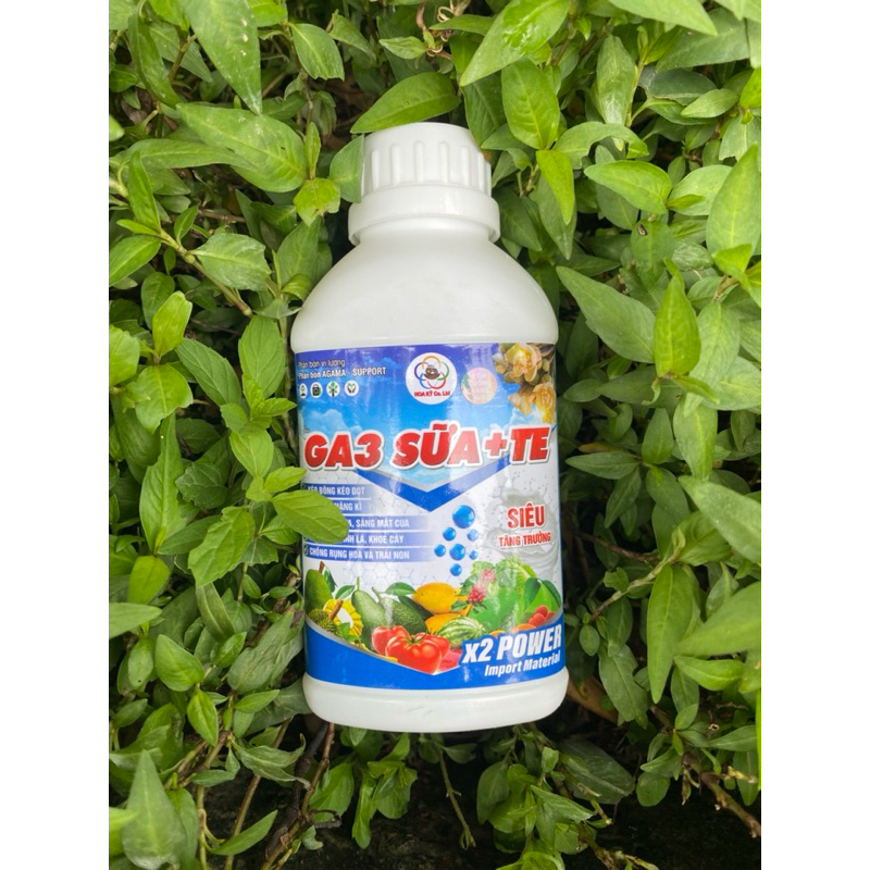 Ga3 sữa + TE 500ml