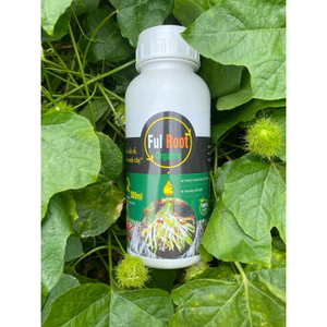 Kích rễ Ful root Nhật bản 500ml