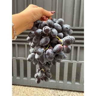 [ HỎA TỐC ] Nho đen trái tròn ngọt 500gr