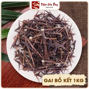 Gai bồ kết khô 1kg, gai rời chùm, tạo giác thích, sạch, đẹp - Tiệm lãn ông