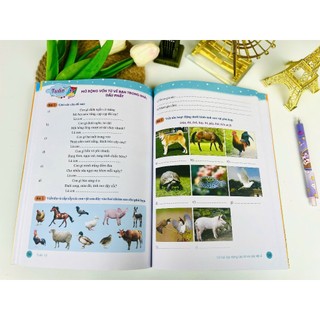 Sách - Vở Bài Tập Nâng Cao Từ Và Câu 2 - Biên soạn theo chương trình GDPT mới - Cánh Diều - ndbooks
