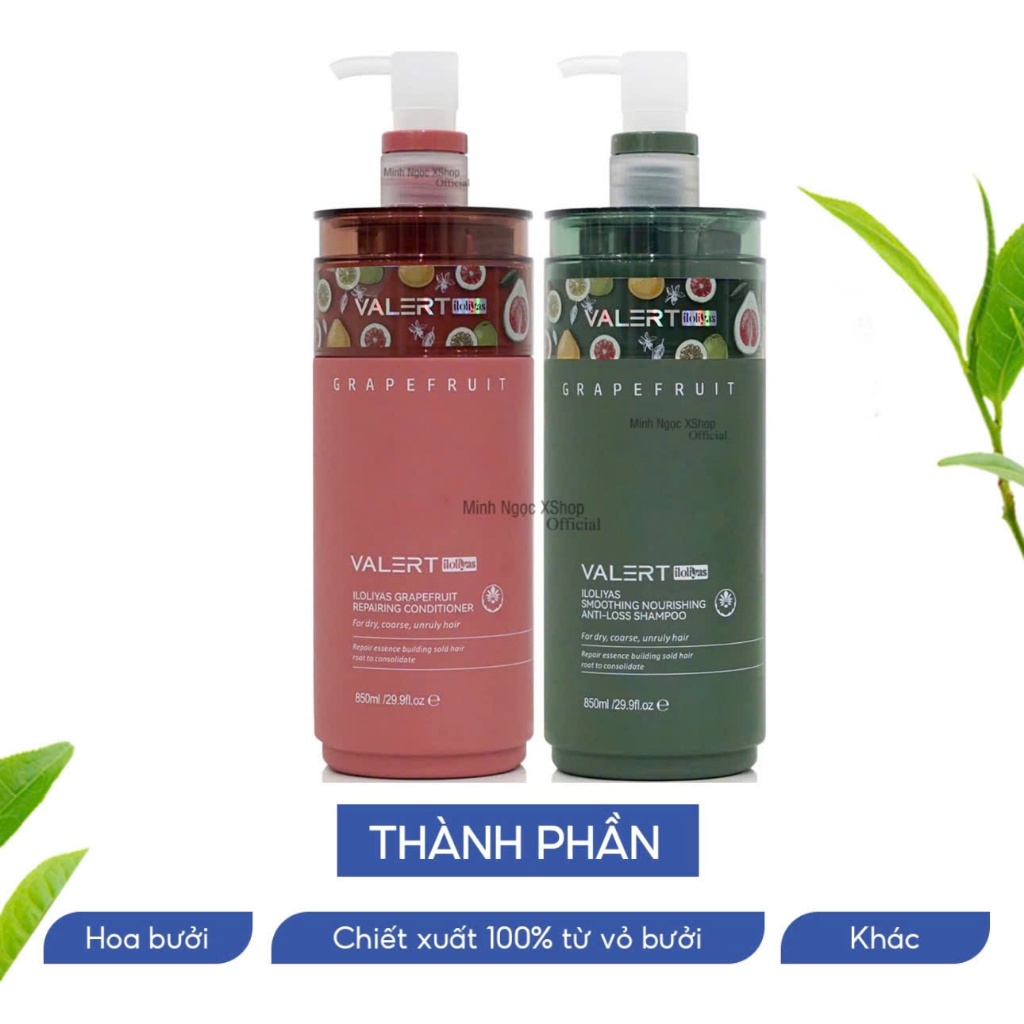 Ảnh Dầu gội xả bưởi Valert Grapefruit iloliyas 850ML mẫu mới phục hồi dưỡng ẩm, chống rụng kích mọc tóc 3
