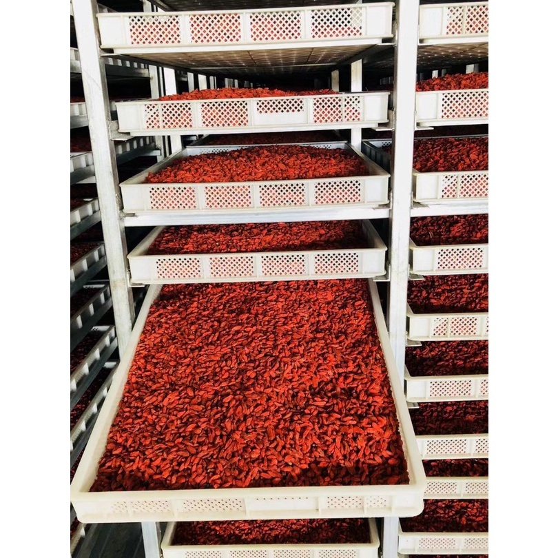 Kỷ Tử Ninh Hạ Hữu Cơ Green Nature/ Organic Life quả to, ngon ngọt, làm trà dưỡng nhan