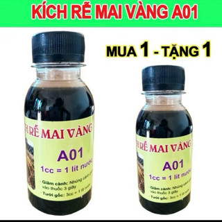 siêu kích rễ A01 sắp đế ( chính hãng )