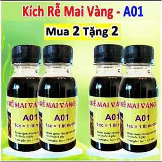 siêu kích rễ A01 sắp đế ( chính hãng )