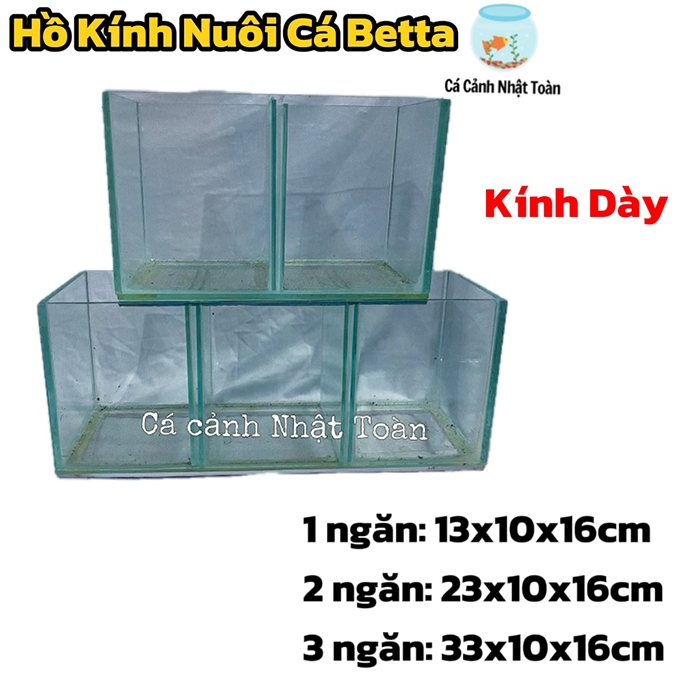 HỒ KÍNH NUÔI CÁ BETTA 1 ĐỀN 3 NGĂN KÍNH DÀY 3MM